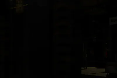 DSC_7199 (Large).JPG